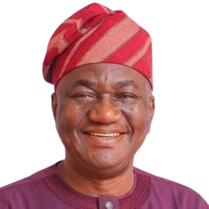 Portrait of Mr. Ajimisimi Oluwole